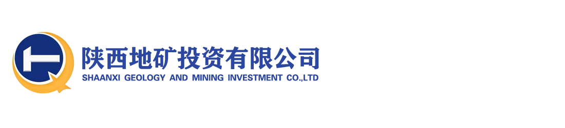 陜西地礦投資有限公司